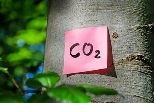 Lässt sich CO2 einfangen?