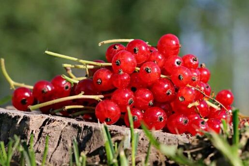 Prost! Mit Beton und Johannisbeersaft Strom gewinnen?