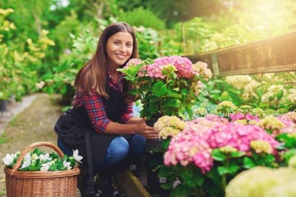 Damit die Stromrechnung keine seltsamen Blüten treibt ...