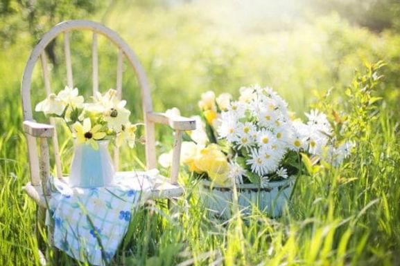 Jetzt auch im Garten mit dem Stromsparen starten