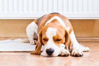 Besser beim Heizen geizen