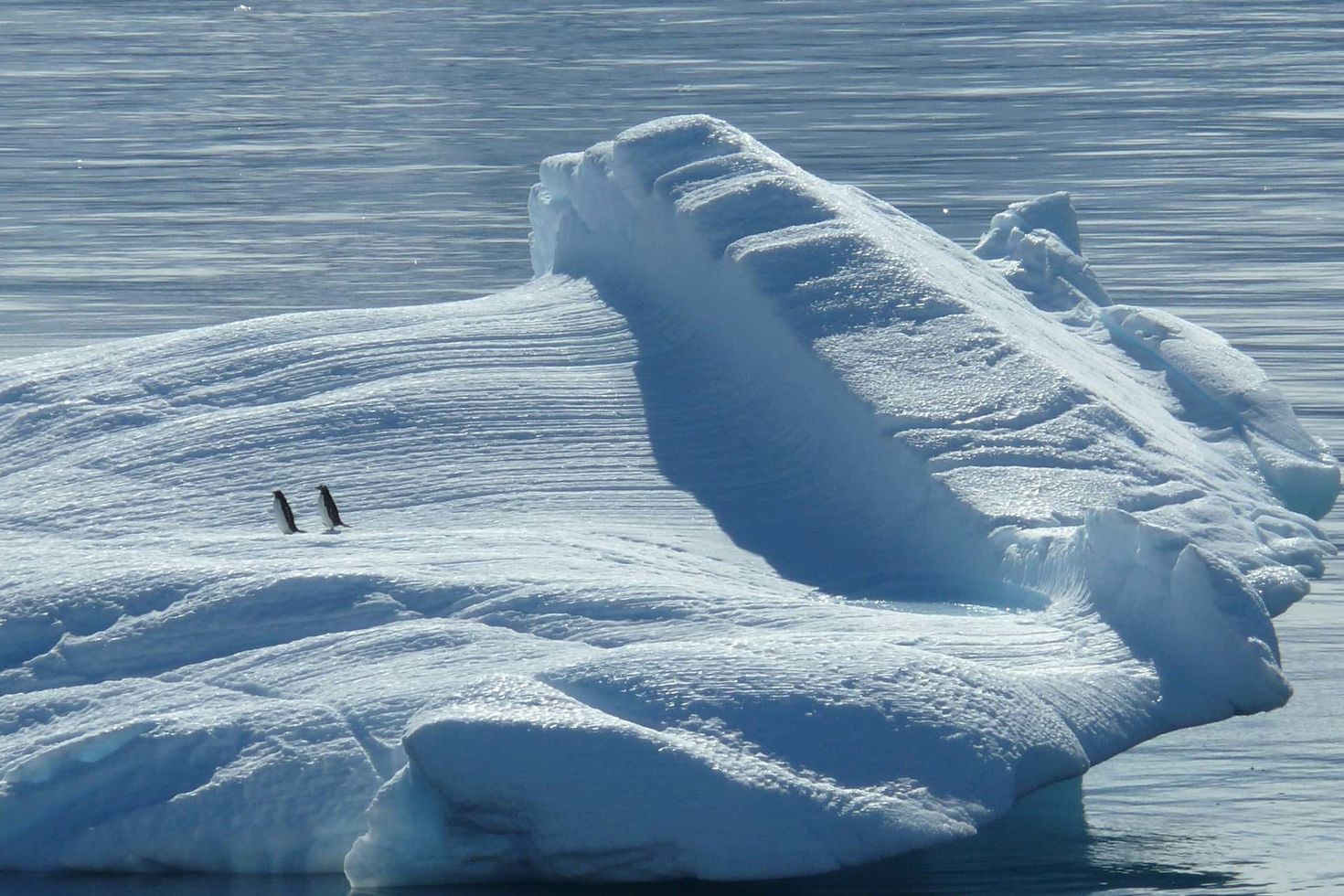 Kein Frust bei Frost: Neue Batterie trotzt auch sehr niedrigen Temperaturen