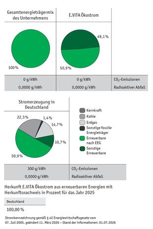 Strompreis E.VITA 2025