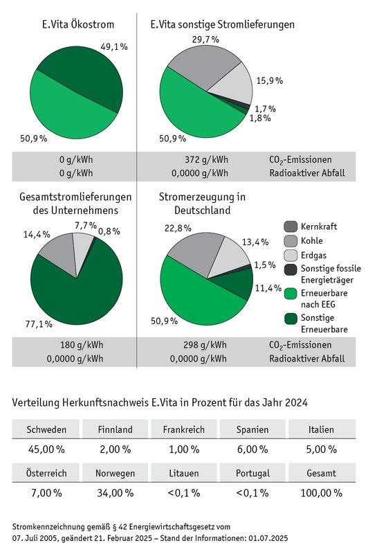 Strom Zusammensetzung 2024